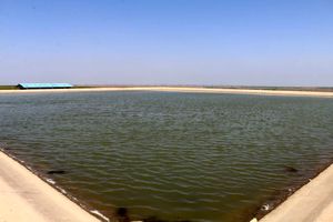 حمایت ویژه از سرمایه‌گذاری کلان در حوزه آبزی‌پروری در اردبیل با همکاری شرکت کشت و صنعت پارس