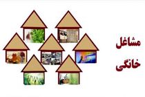 پرداخت 5.3 میلیاردی تسهیلات مشاغل خانگی در محمودآباد