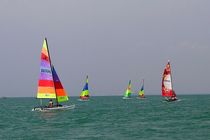 رشته‌های بادبانی را در کشور ساماندهی می‌کنیم