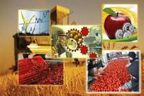 برپایی روستا بازار در شهرستان مبارکه