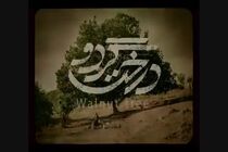 درخت گردو و مردن در آب مطهر پروانه نمایش گرفتند