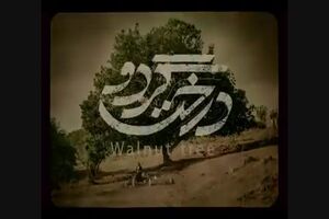 درخت گردو و مردن در آب مطهر پروانه نمایش گرفتند