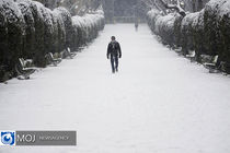 هواشناسی برای ۱۲ استان هشدار نارنجی برف صادر کرد