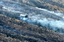 اعزام دو بالگرد و سه تیم عملیاتی برای مهار حریق در ارتفاعات هماگ