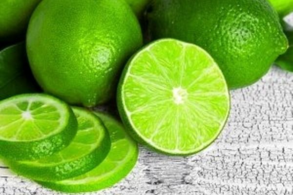 تولید ۱۲ تن لیموترش در گلخانه‌