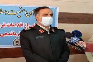 کشف بیش از 9 تن مرغ زنده خارج از شبکه توزیع در بدره