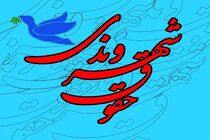 در بحثحقوق شهروندی، فرهنگ مهمتر است / ضرورت فعال ترشدن سمن ها