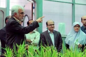تضمین امنیت غذایی با بیوتکنولوژی