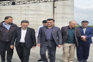 فرماندار نکا از زنجیره تولید آرد در کارخانه‌های شهرستان بازدید کرد