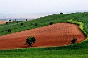 رفع تداخل 812 هکتار از اراضی کرمانشاه