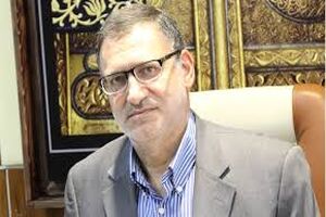 گسترش سامانه سماح/ بررسی اعزام شبه‌کاروانی زائران اربعین