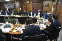 پیشنهاد تشکیل میزدائم همکاری‌های صنعت پتروشیمی ایران و ازبکستان
