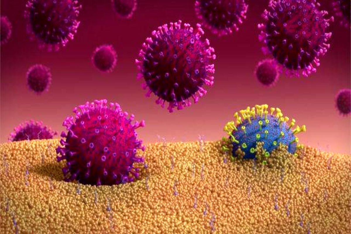 ویروس کرونا