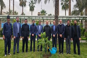 نهال در سفارت ایران در عراق کاشته شد