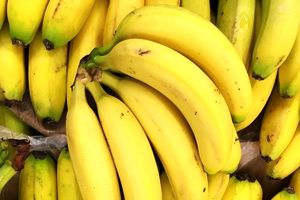 ۲۸ شرکت ۳۶ میلیون یورو ارز دولتی برای واردات موز دریافت کردند