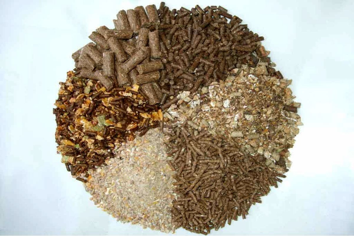 کنسانتره
