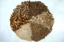 توزیع 270 تن نهاده‌ بین دامداران سوادکوه‌شمالی در فروردین امسال