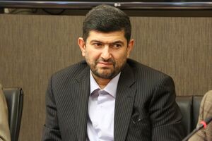800 میلیون دلار صادرات زنجیره گندم تا نان
