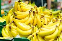 نرخ فعلی موز در بازار قابل قبول نیست