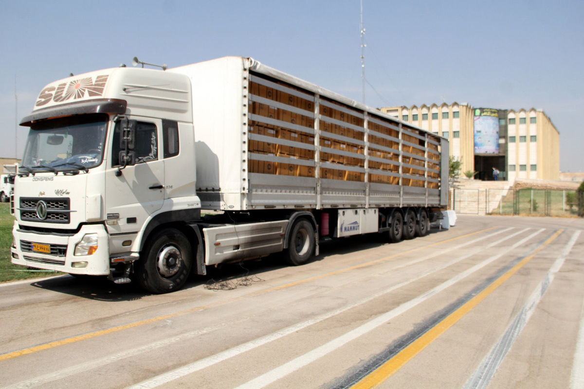 ام دی اف قاچاق