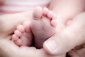 فعالیت ماماهای قمی این استان را به عنوان یک استان فعال و پویا مطرح کرده است