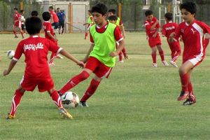 فعالیت 146 تیم و باشگاه سازمان یافته در اردبیل