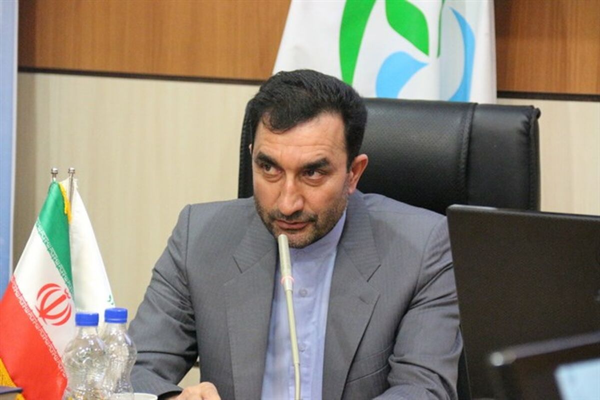 جمال انصاری ، رئیس سازمان تعزیرات حکومتی