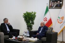 نشاط اجتماعی راهکاری کلیدی برای کاهش خشونت