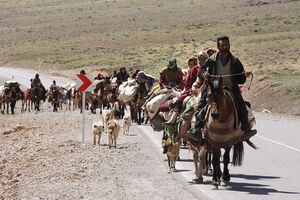 آغاز کوچ بهاره عشایر از مناطق گرمسیر