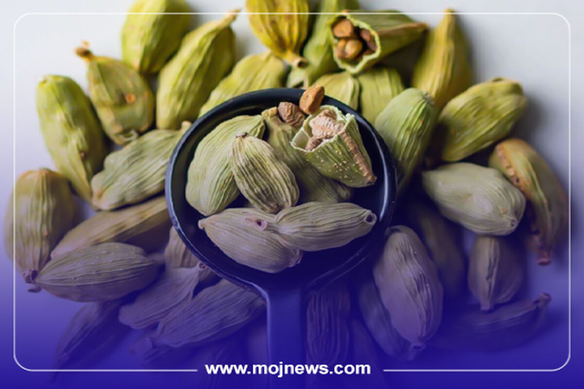 کاور خواص هل موج