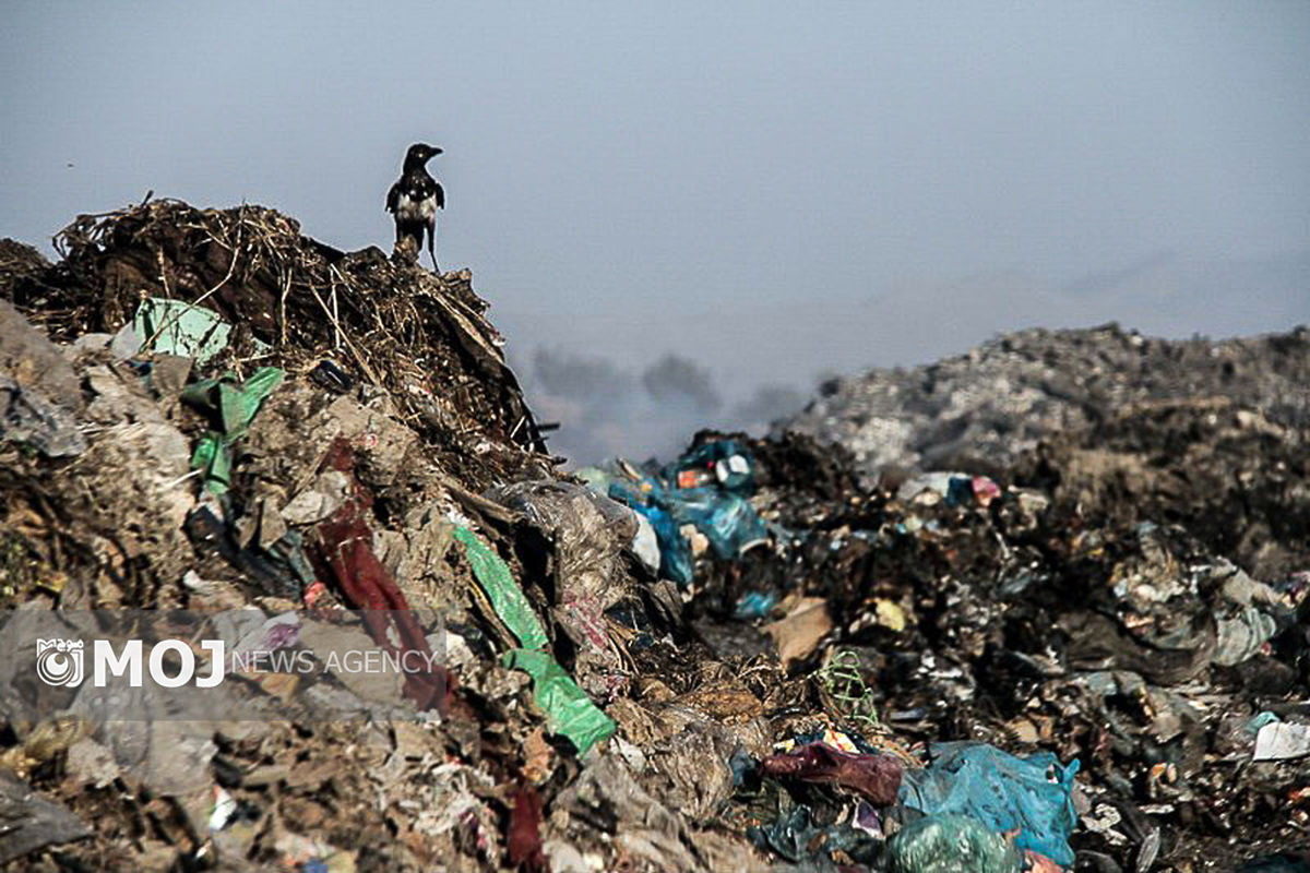 زباله و انباشت زباله