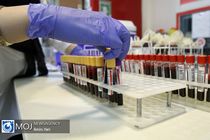 اهدای ۲۸ هزار واحد خون در تاسوعا و عاشورا توسط ایرانیان