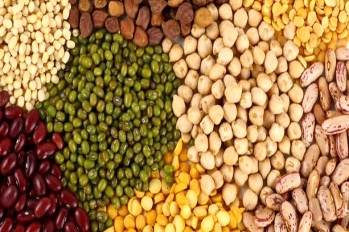 حبوبات احتکار شده