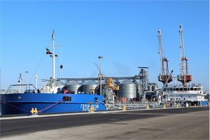 رشد ۴۸ درصدی تخلیه و بارگیری کالا در بندر امیرآباد