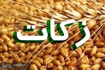 ۲۱۸ درصد  رشد جمع آوری زکات در آذربایجان‌شرقی
