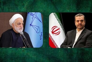 رئیس سازمان تعزیرات از رفع تعهد ۲.۵ میلیارد یورو و صدور ۳۴ همت جریمه در پرونده‌های ارز صادراتی خبر داد