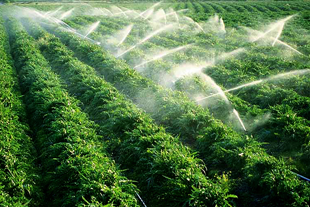 سامانه‌های نوین آبیاری