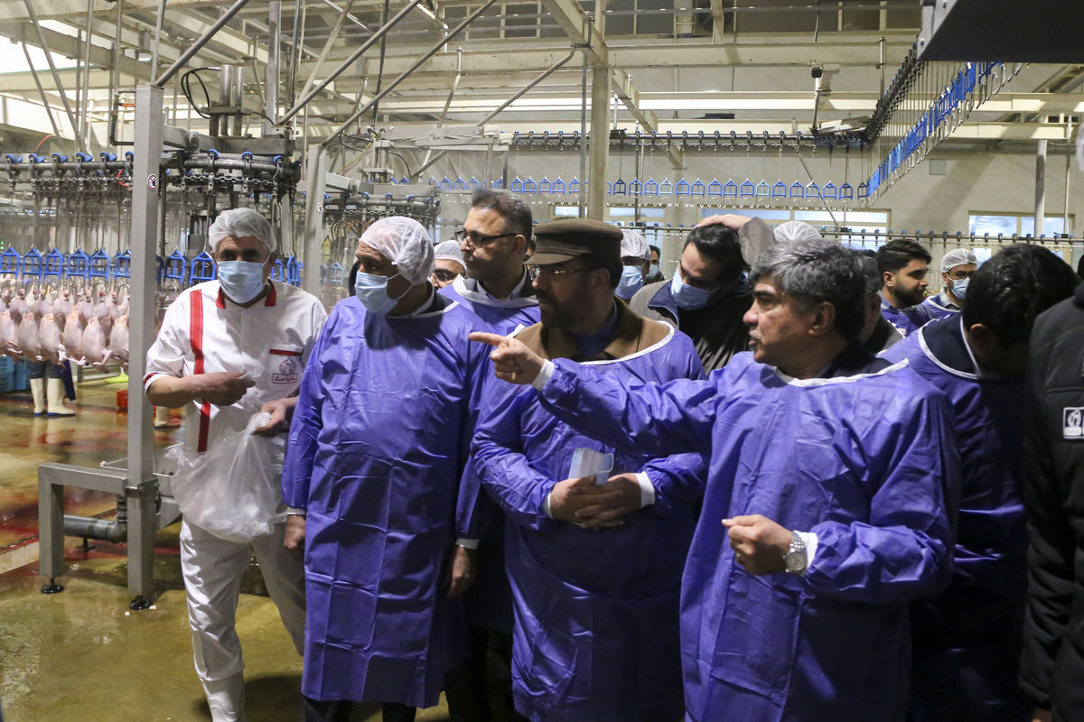 بازدید استاندار فارس از مجموعه مرغ سالیذ