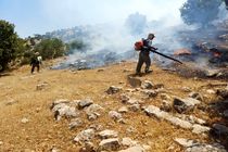 آتش به جان کوه بدیل بهبهان افتاد