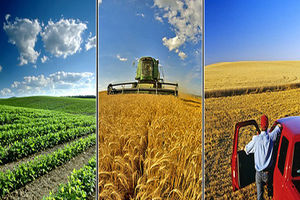 پرداخت تسهیلات کم بهره به تعاونی‌های روستایی در هرمزگان