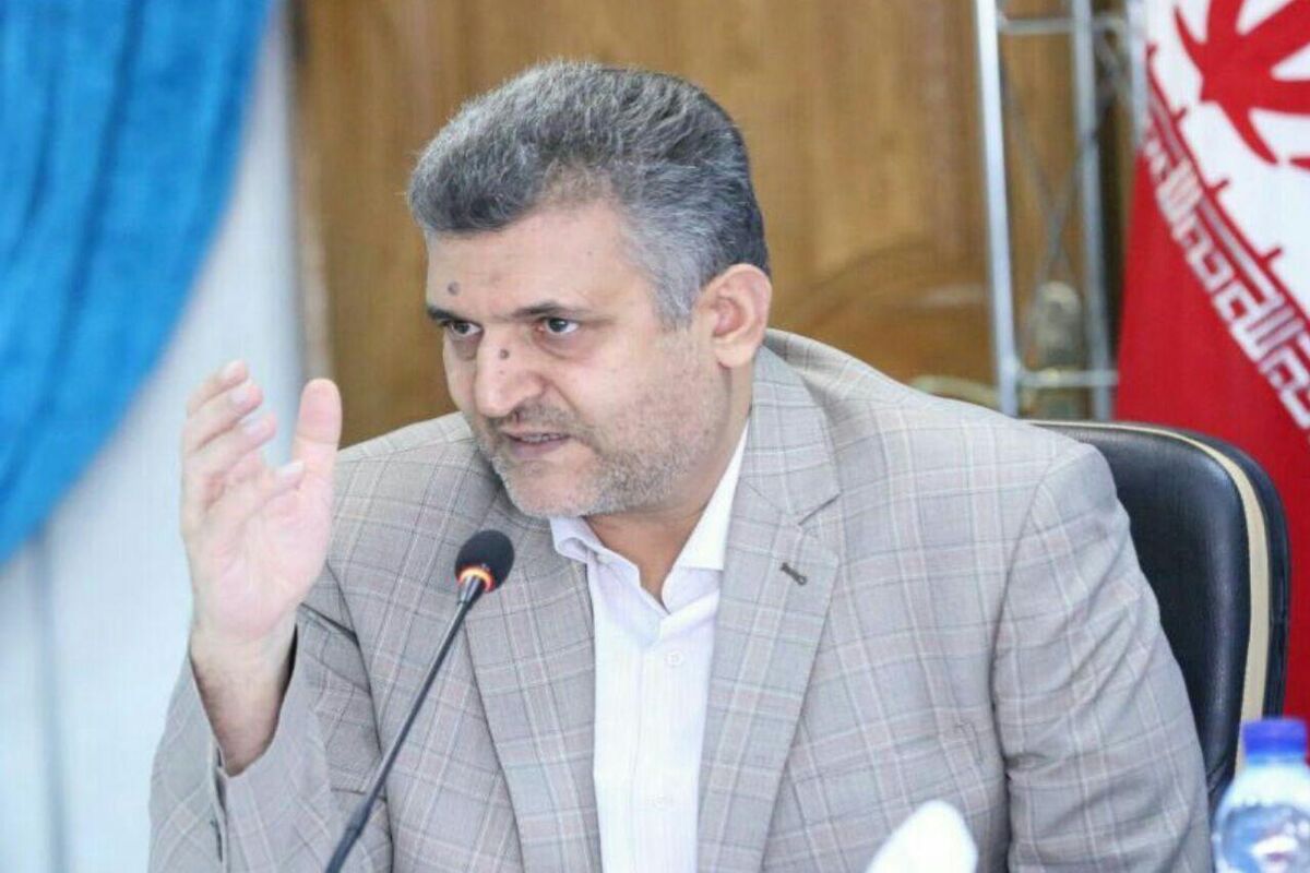 قاسم ولی زاده
