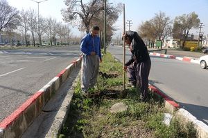 عملیات واکاری بلوارها و رفیوژهای سطح شهرسنندج  با 2200 اصله نهال