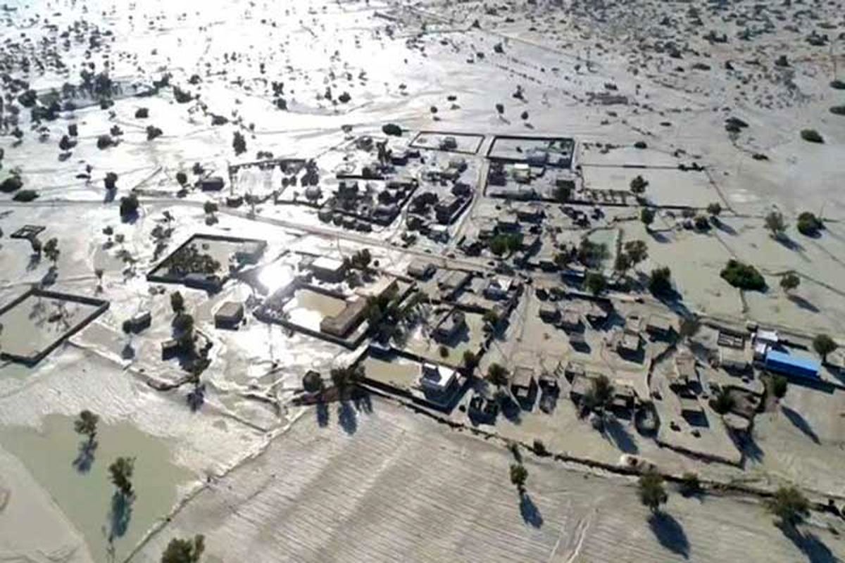 سیل