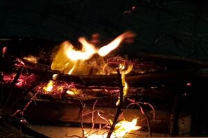 برگزاری آیین چهارشنبه‌سوری در بندرعباس