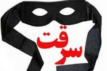 افزایش 84 درصدی انواع سرقت در نهاوند