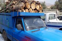 نیسان حامل چوب جنگلی قاچاق در تنکابن توقیف شد