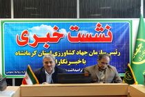 کرمانشاه رتبه اول تولید نخود، دوم ذرت و پنجم گندم در کشور را دارد