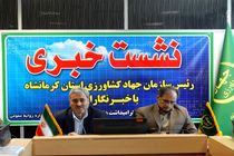 کرمانشاه رتبه اول تولید نخود، دوم ذرت و پنجم گندم در کشور را دارد