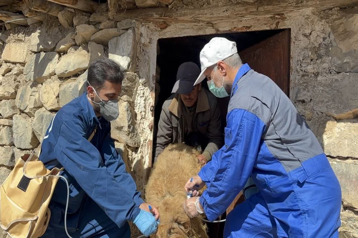 واکسیناسیون دام