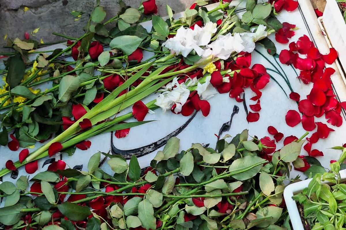 حاجی زاده 